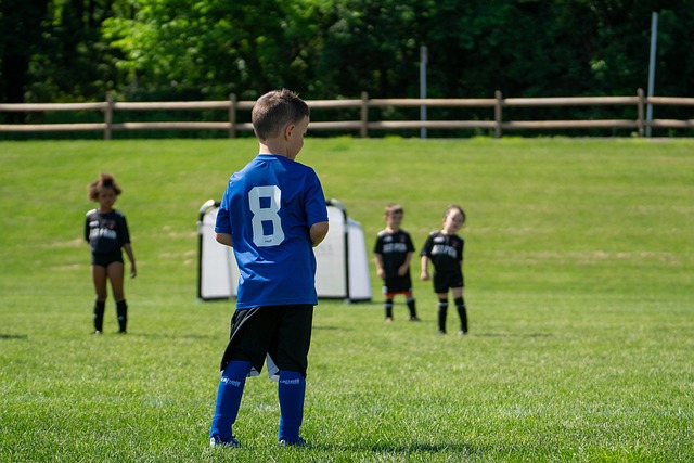 归化球员的 归化球员的