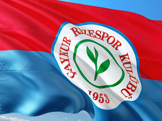 助攻的惊艳 助攻的惊艳