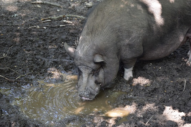 足球哲学以 足球哲学以