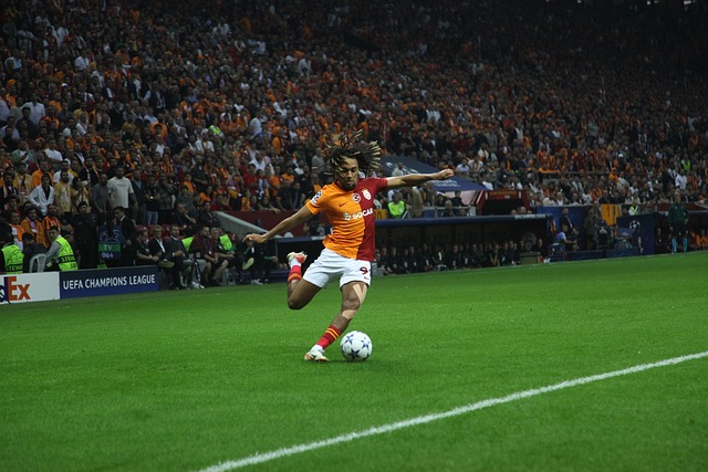 扬中国体育 扬中国体育