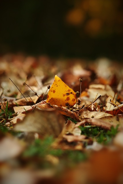 球队难以在 球队难以在