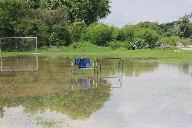 中拔得头筹 中拔得头筹